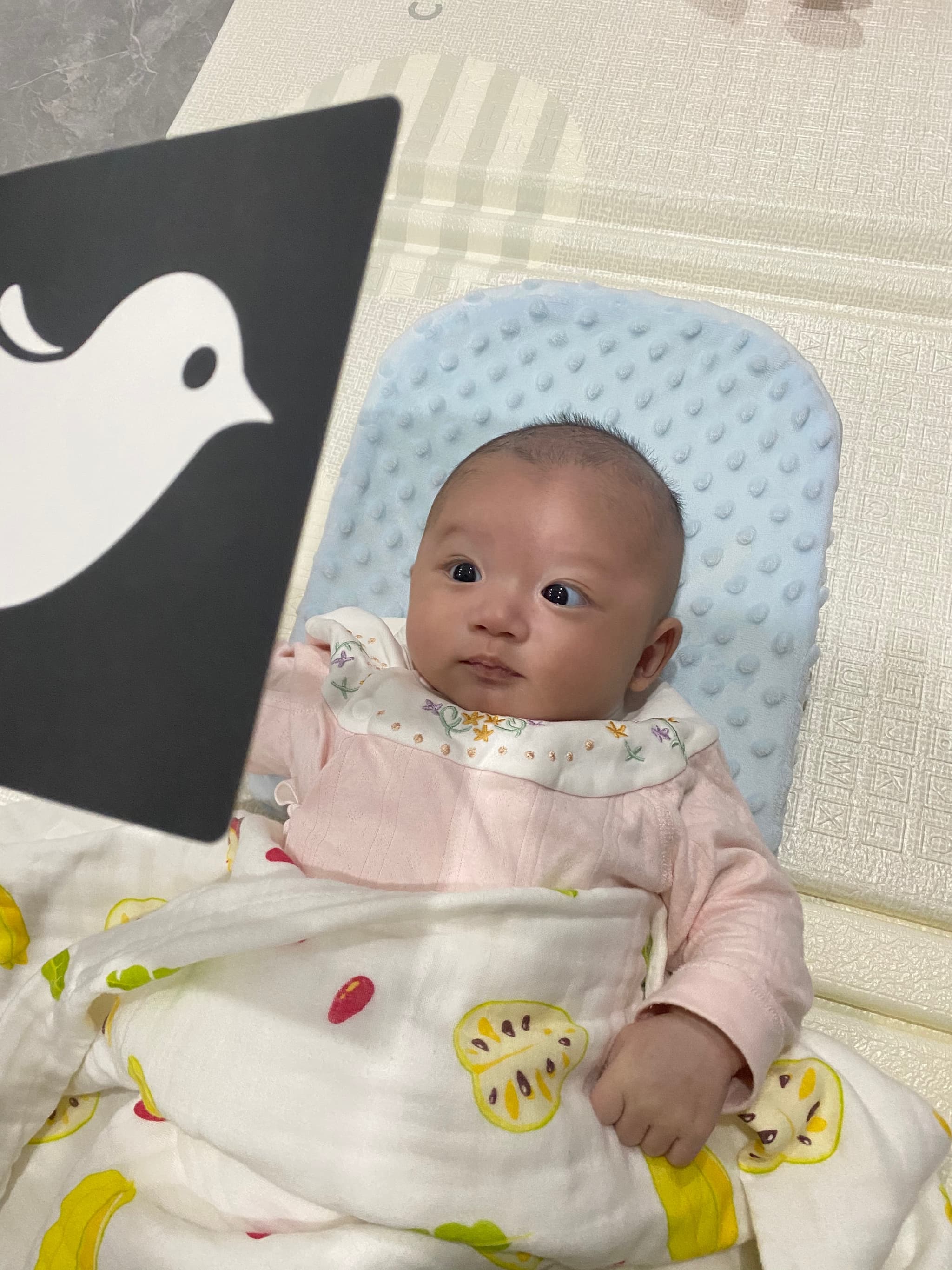 我要好好学习，天天向上😊