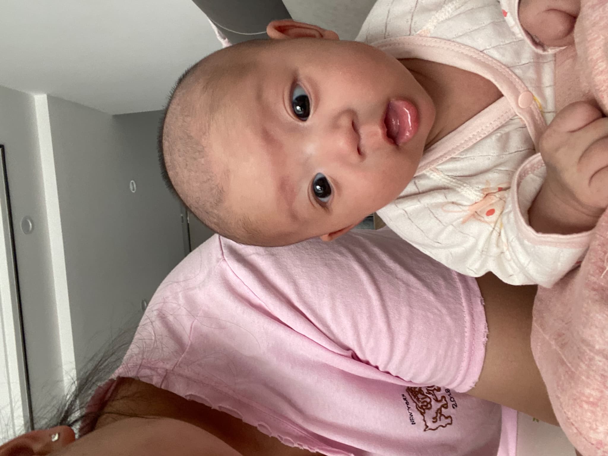 今天又被迫营业抬头了呢