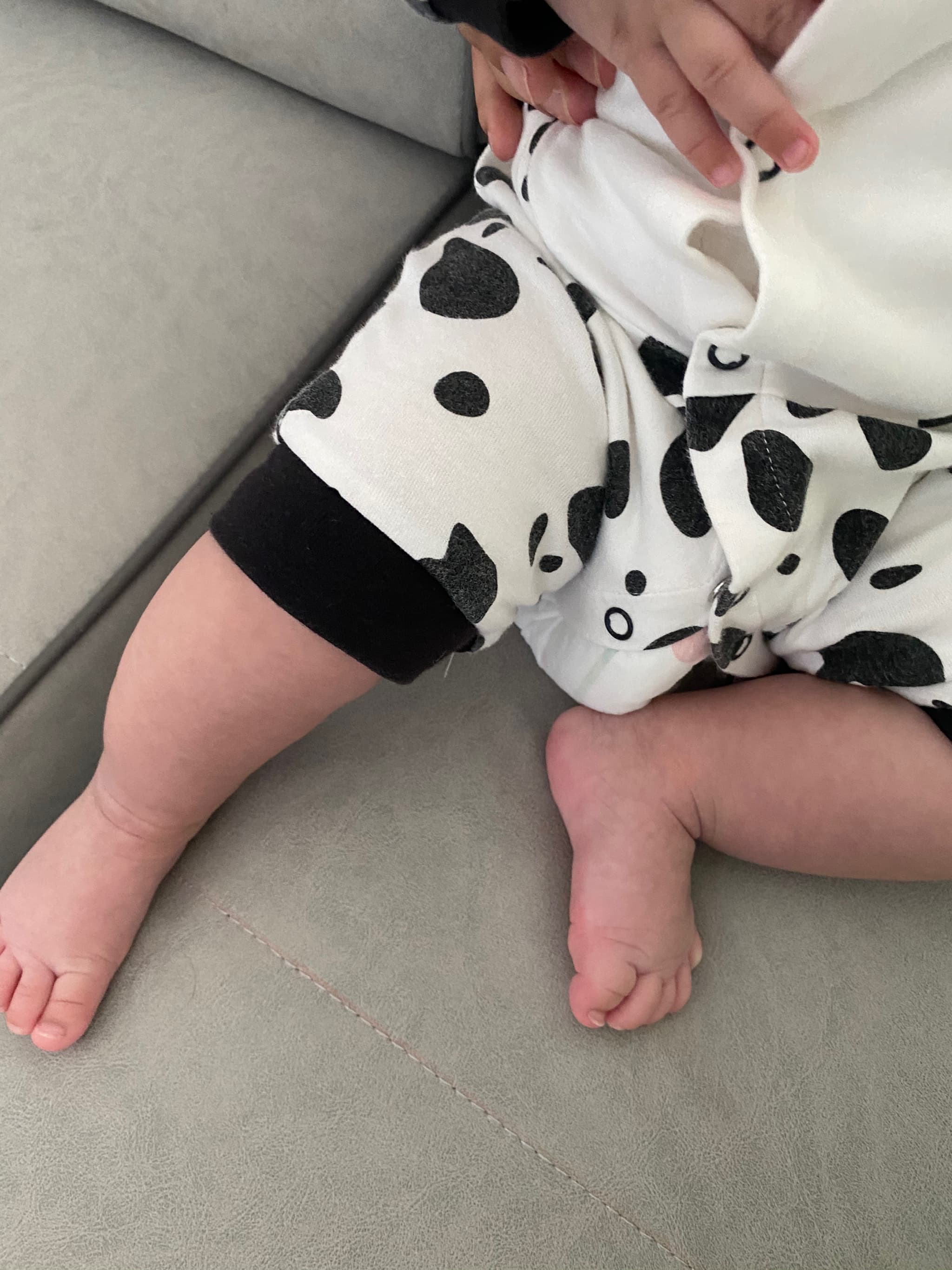 可爱的胖腿🦵🏻