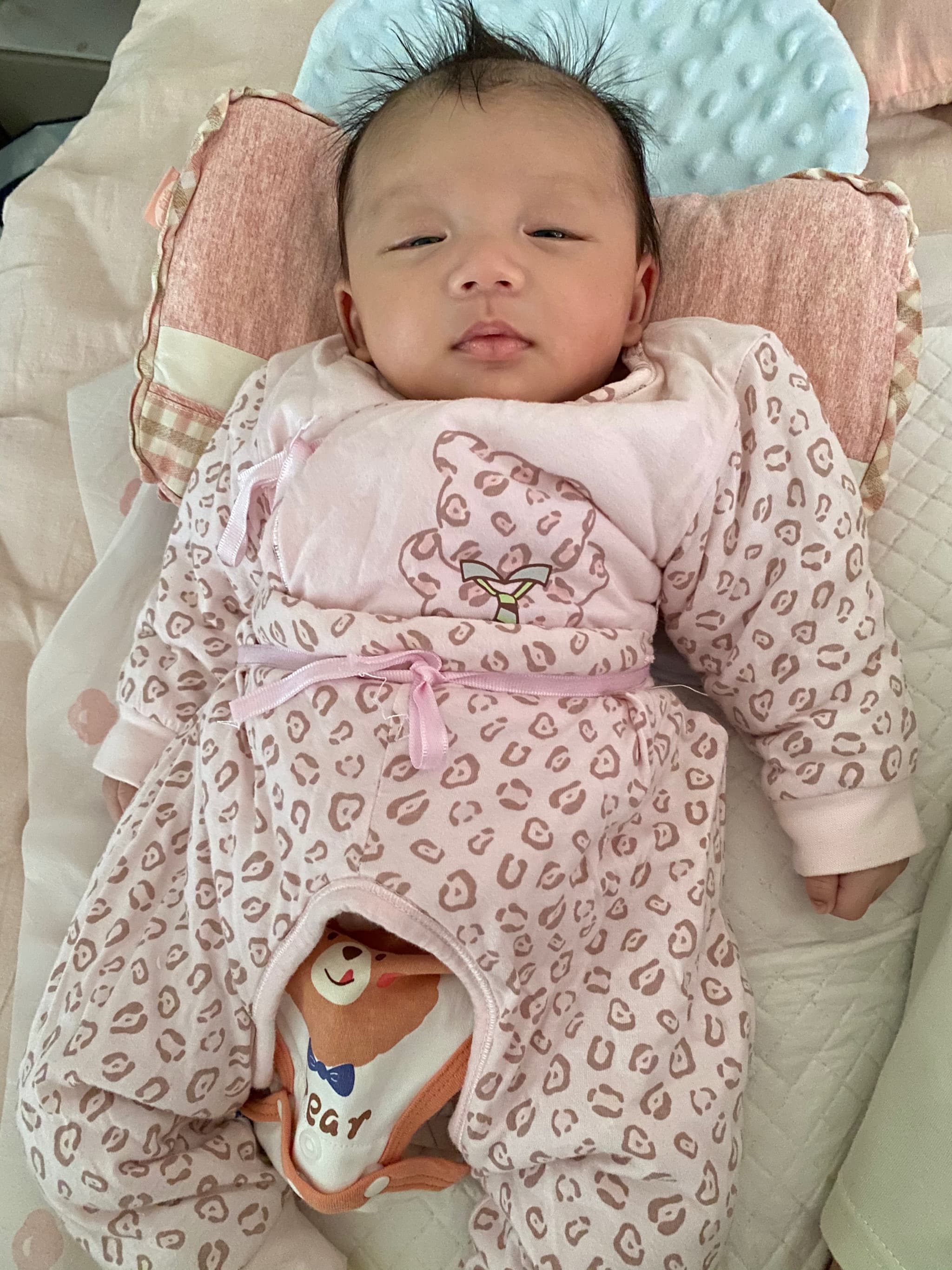 今天有点好睡，我的姿势很霸气