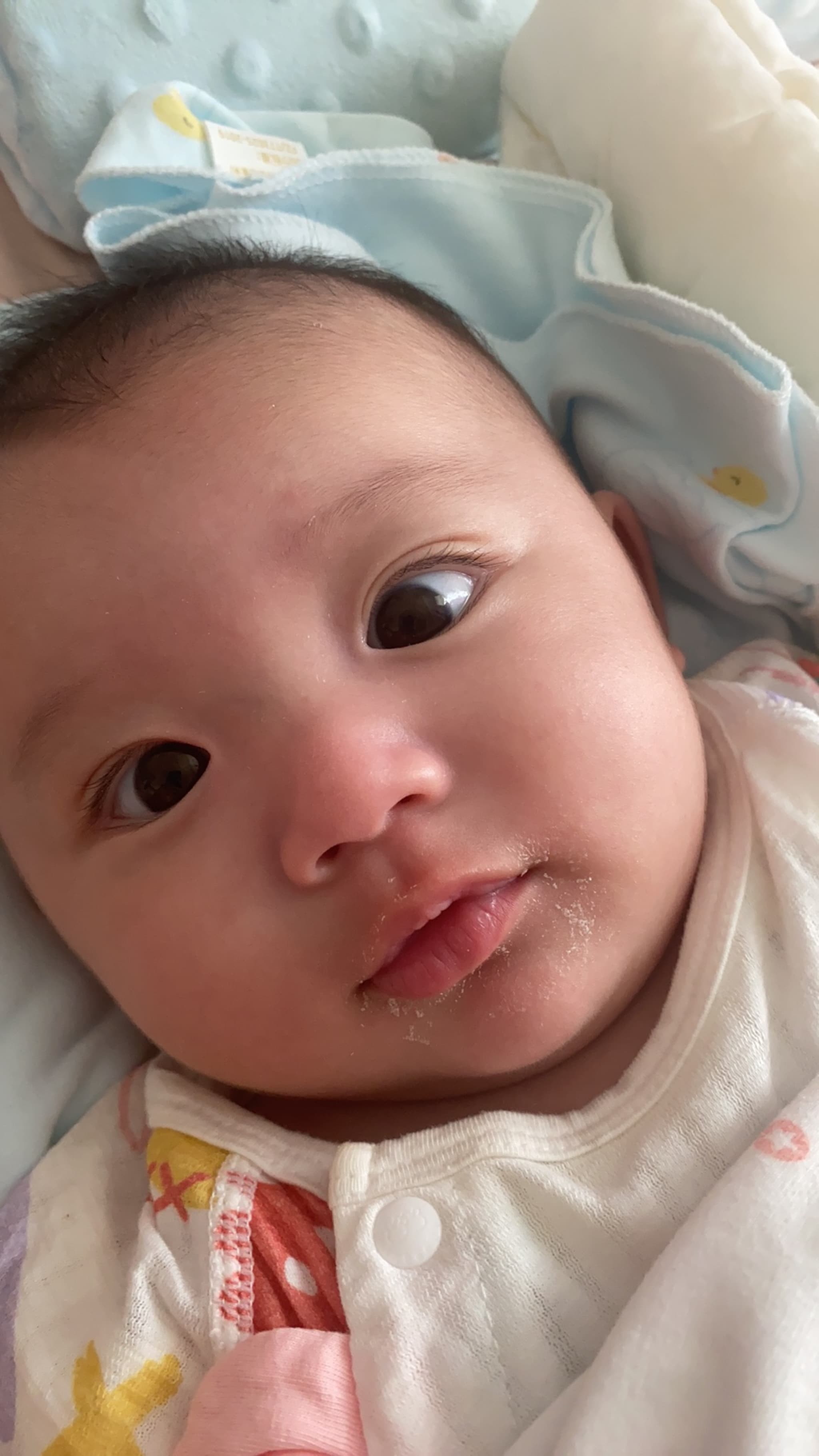 一晚上喝奶的花猫🐱嘴